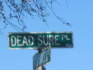 dead sure place street sign gold canyon arizona