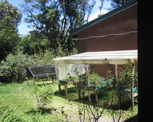 solar oven garden quaker school